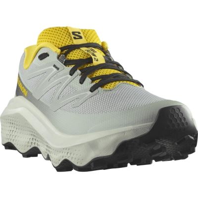 Salomon Ultra Flow 2