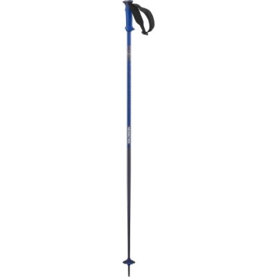 Salomon POLAR PRO Race Blue