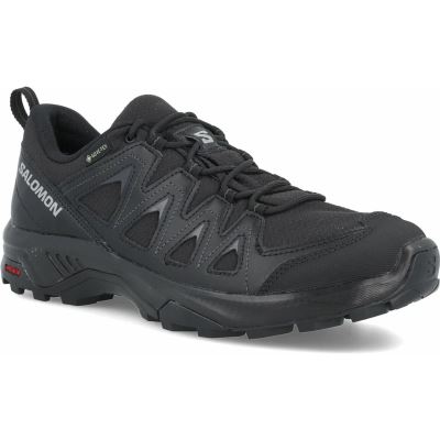 Salomon X Braze GTX