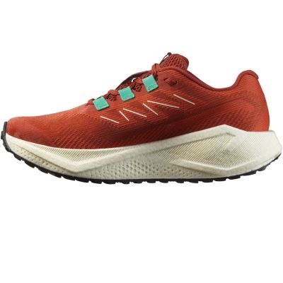 Salomon Aero Blaze 3 Grvl W (2)