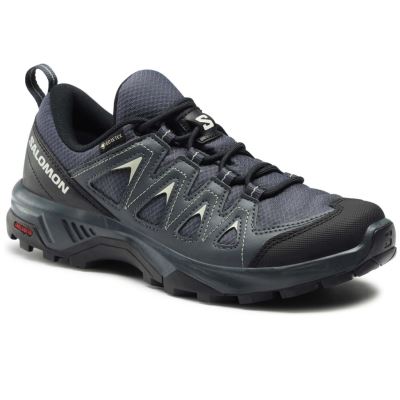 Salomon X Braze GTX W