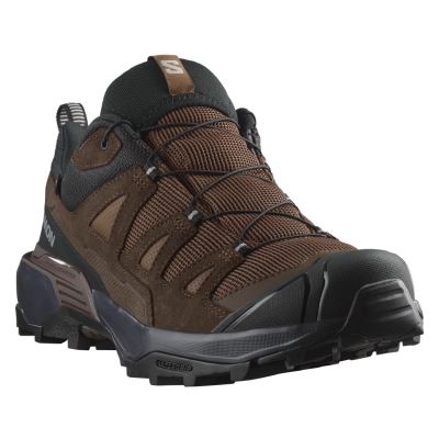 Salomon X Ultra 360 Ltr GTX